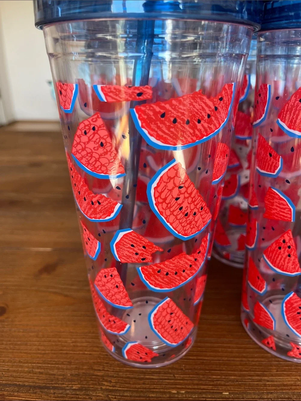 NWT Set of 6 Watermelon Print Tumblers with Blue Lids and Straws